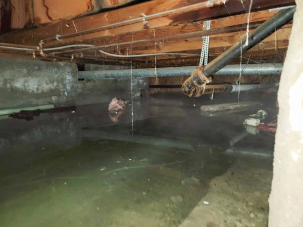 Local water damage restoration in Pismo Beach, CA