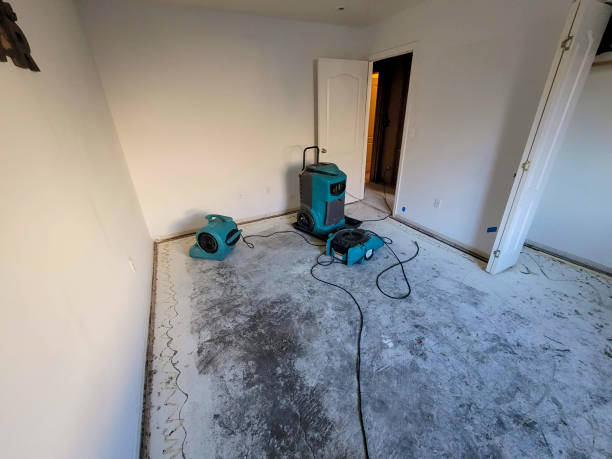 Best Basement water damage restoration  in Pismo Beach, CA