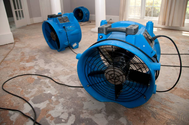 Best 24/7 water damage repair  in Pismo Beach, CA