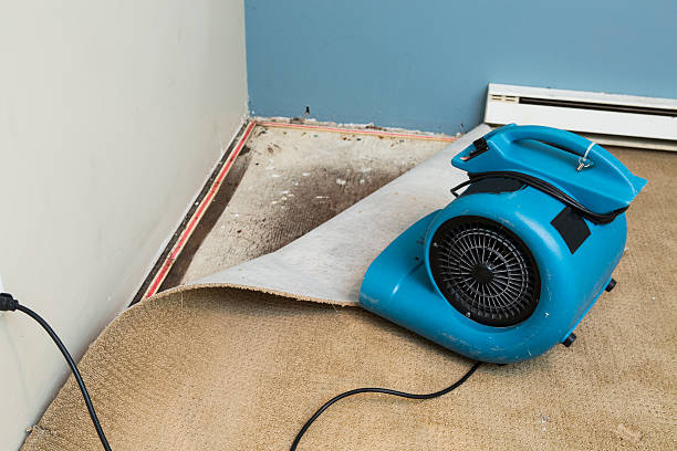 Professional Water damage restoration in Pismo Beach, CA